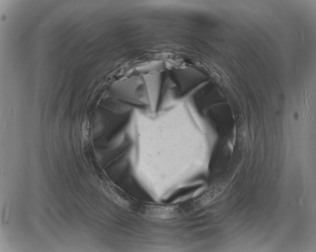 X0000081430081200702021703