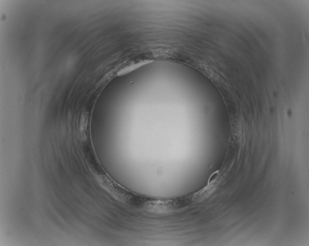 X0000081430082200702021703