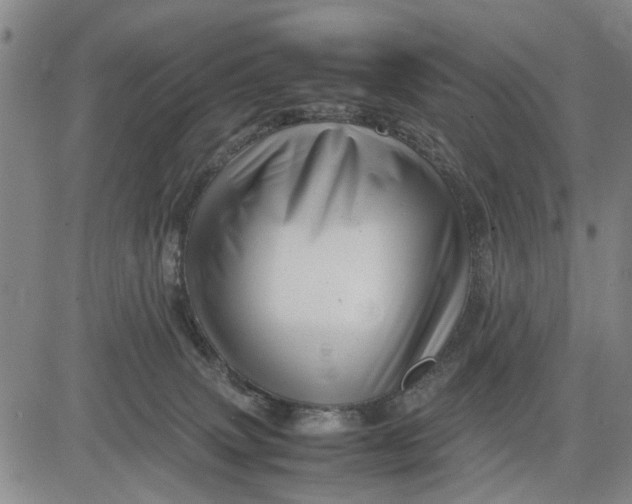 X0000081430083200702021703