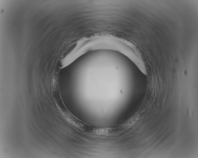 X0000081430084200702021703