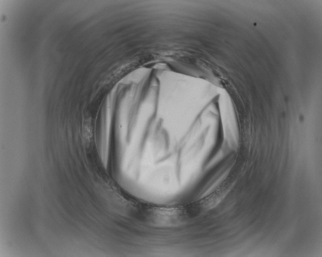 X0000081430085200702021703