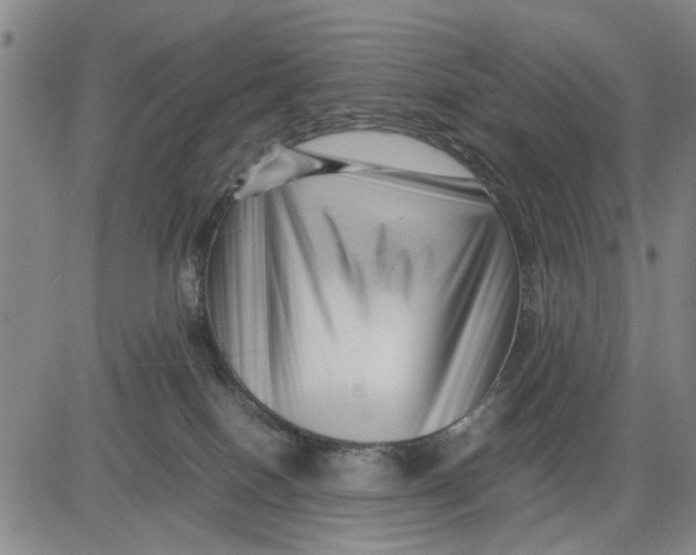 X0000081430086200702021703