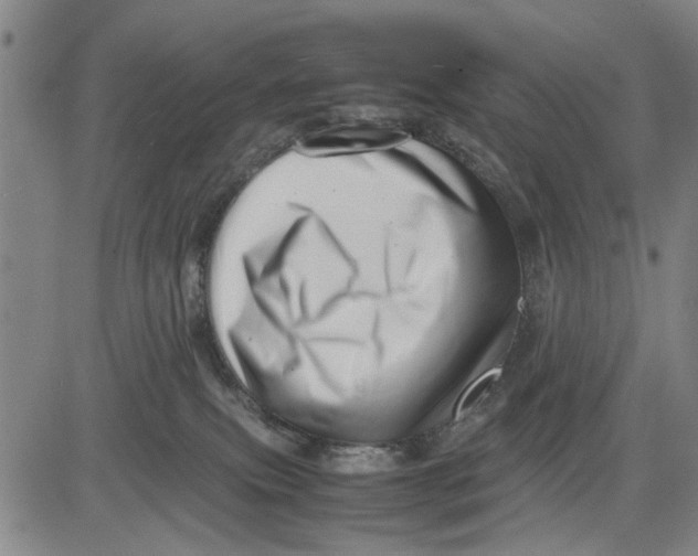 X0000081430087200702021703