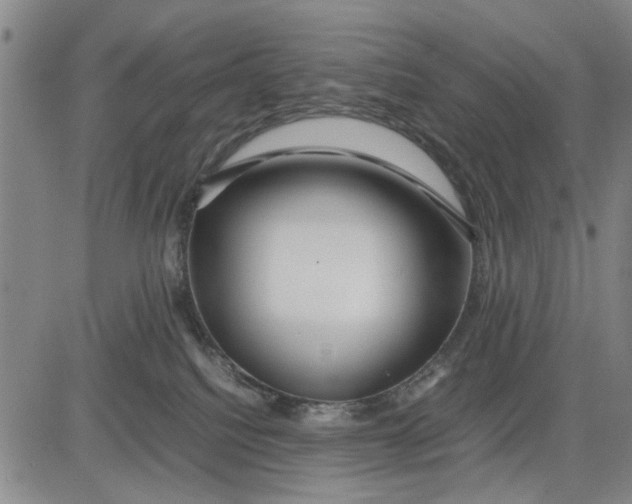 X0000081430088200702021703