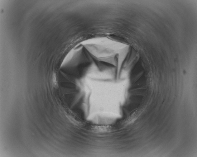 X0000081430089200702021703