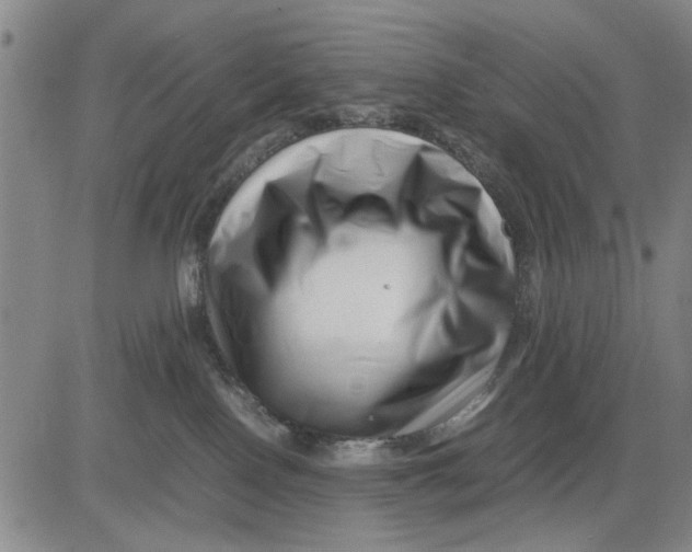 X0000081430090200702021703