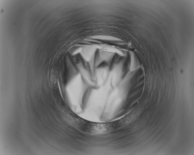 X0000081430091200702021703