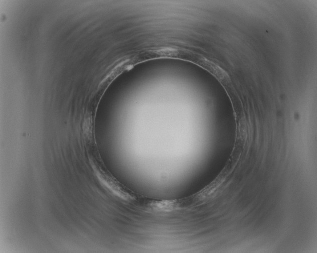 X0000081430092200702021703