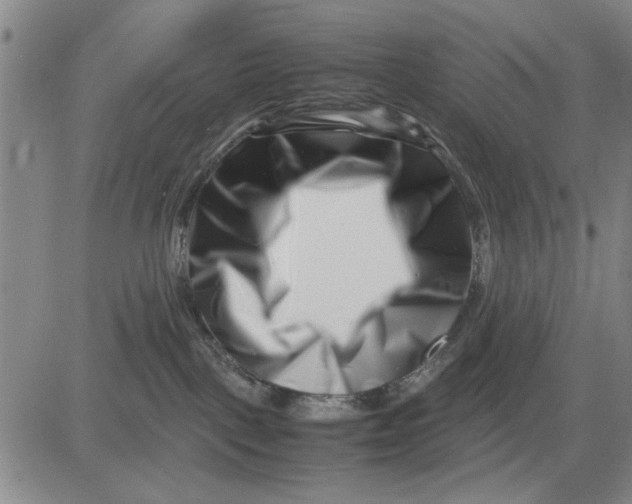 X0000081430093200702021703