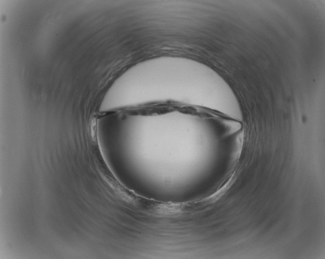 X0000081430094200702021703