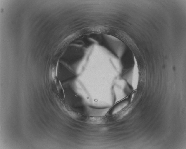 X0000081430095200702021703