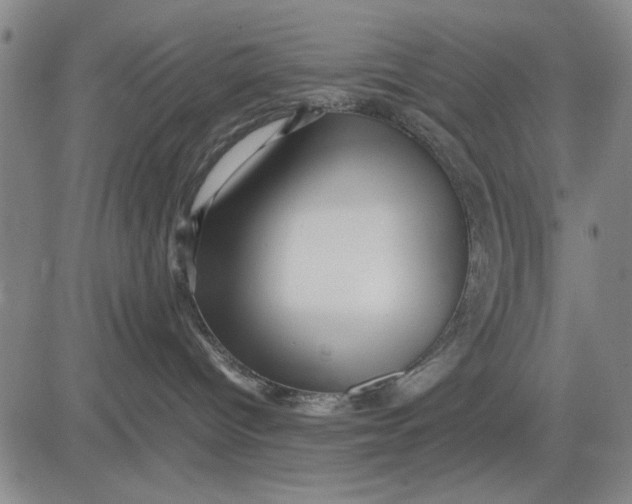 X0000081430096200702021703