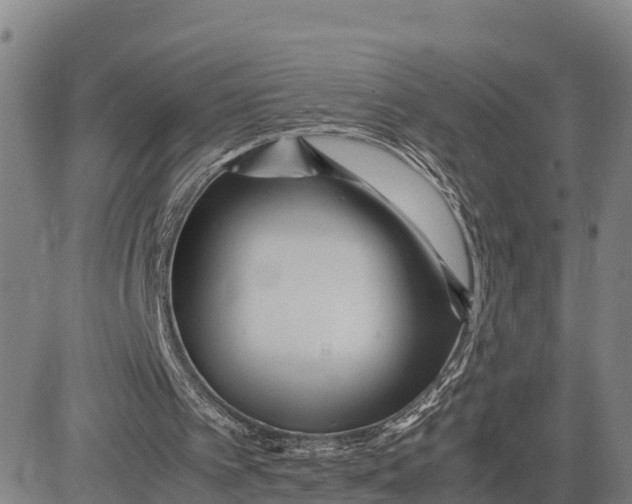 X0000081430097200702021702