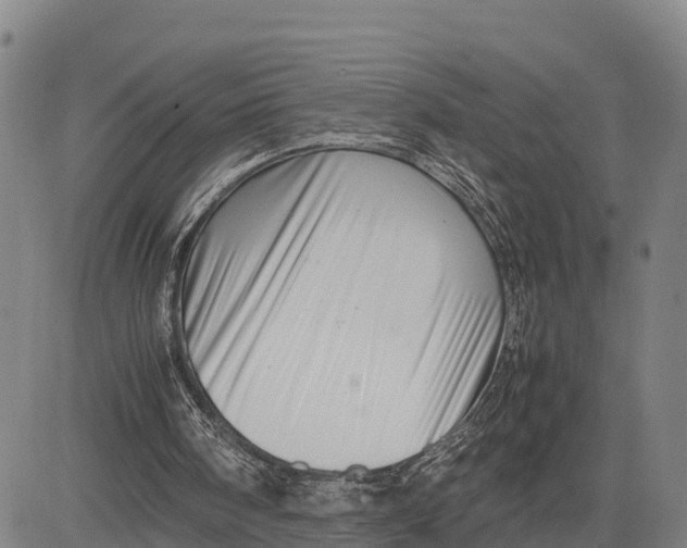 X0000081430098200702021702