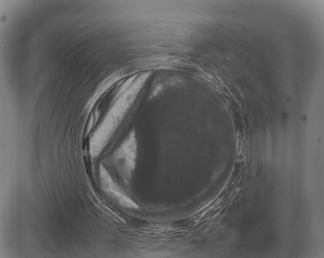 X0000081430099200702021702