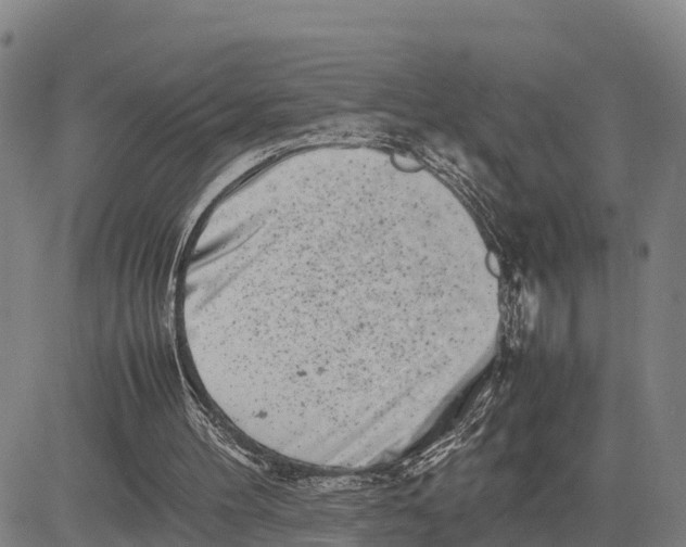 X0000081430100200702021702