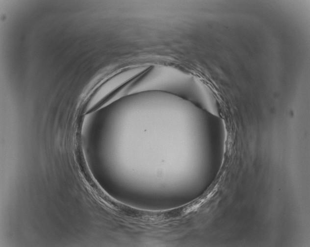 X0000081430101200702021702