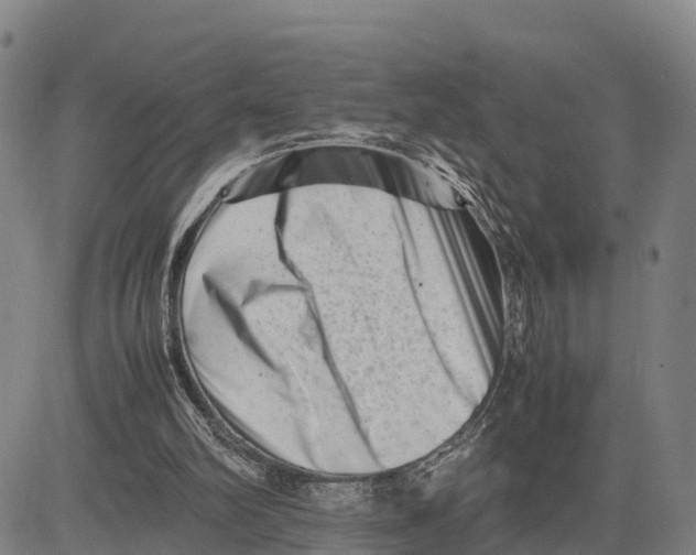 X0000081430102200702021702