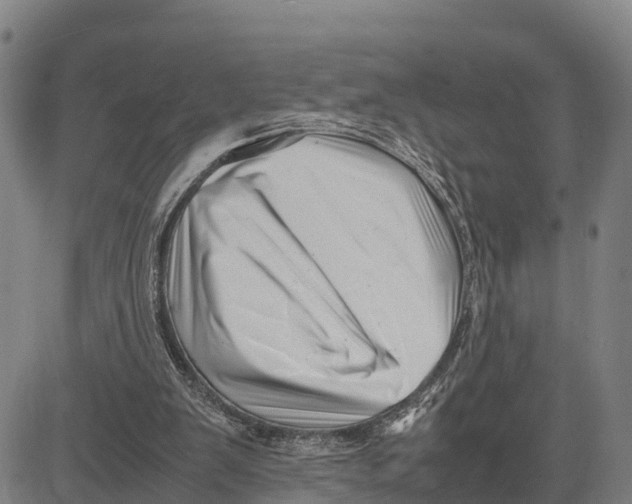 X0000081430103200702021702