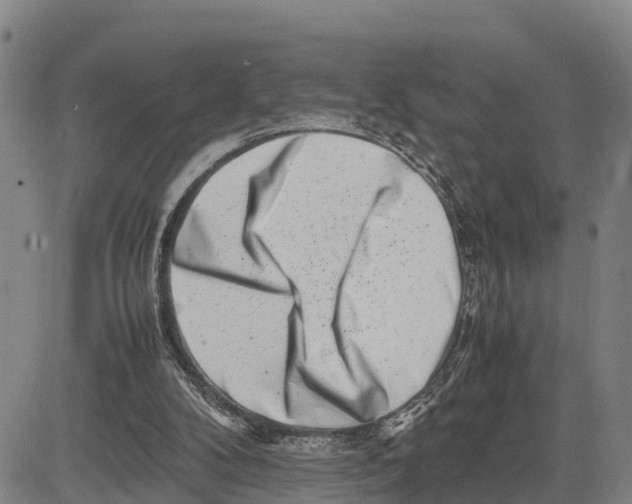 X0000081430104200702021702