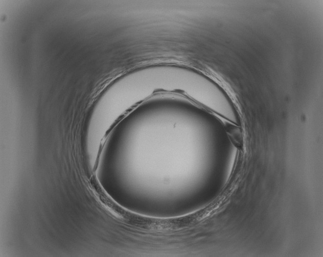 X0000081430105200702021702