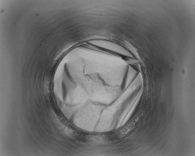 X0000081430106200702021702