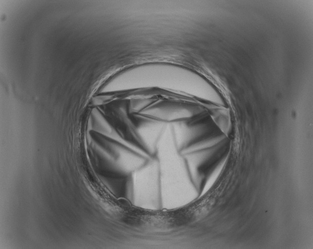 X0000081430107200702021702