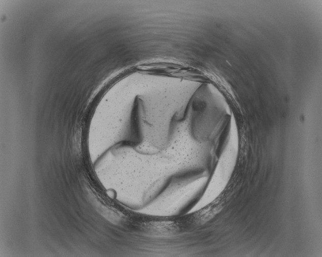 X0000081430108200702021702