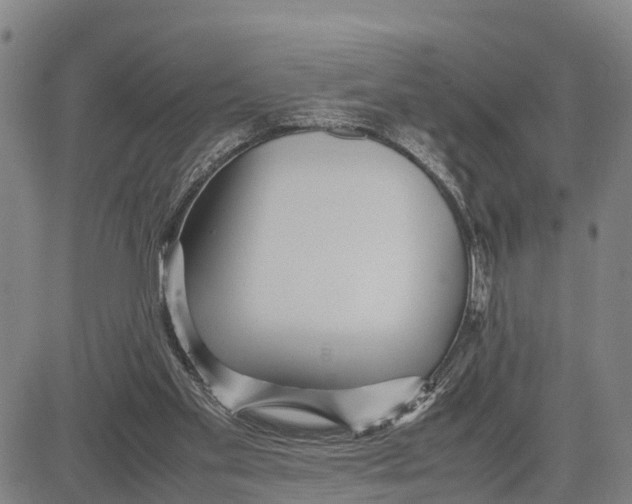 X0000081430109200702021702