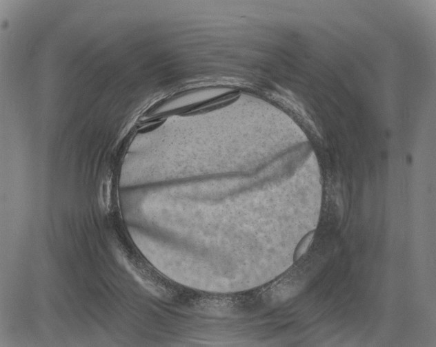 X0000081430110200702021702