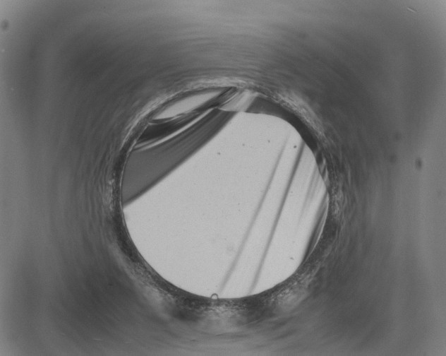 X0000081430111200702021702