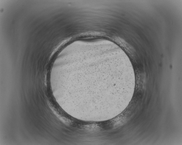 X0000081430112200702021702