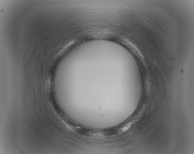 X0000081430113200702021702