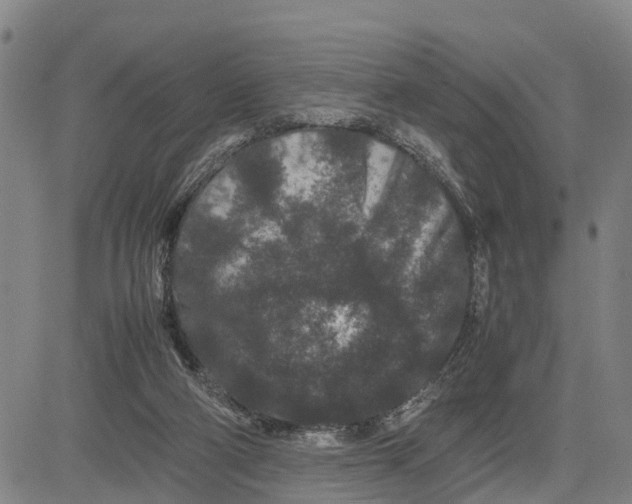 X0000081430114200702021702