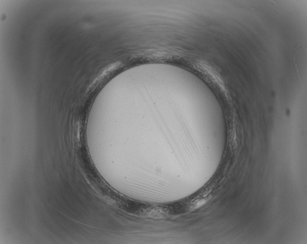 X0000081430115200702021702