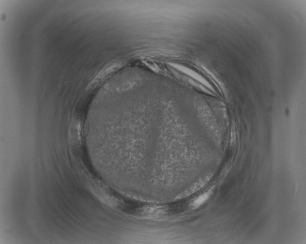 X0000081430117200702021702