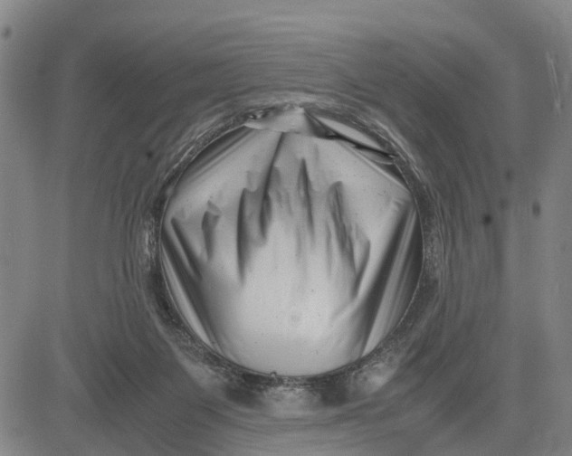 X0000081430119200702021702