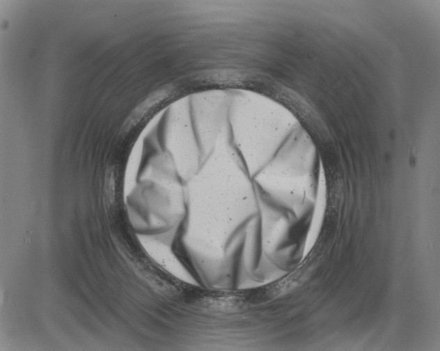 X0000081430120200702021702