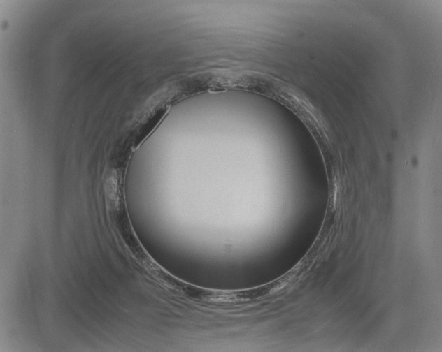 X0000081430121200702021702