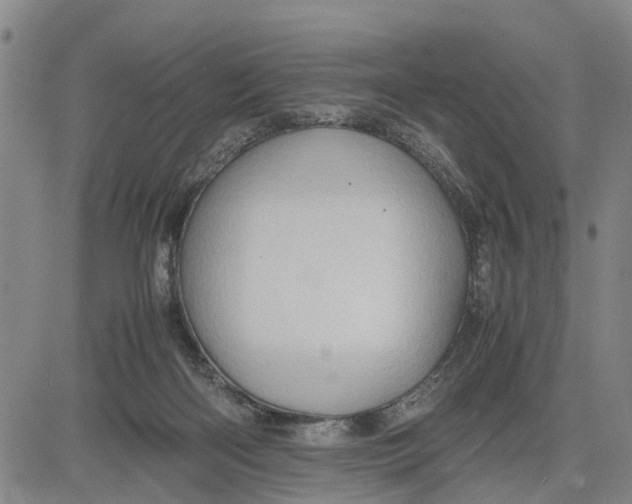 X0000081430122200702021702