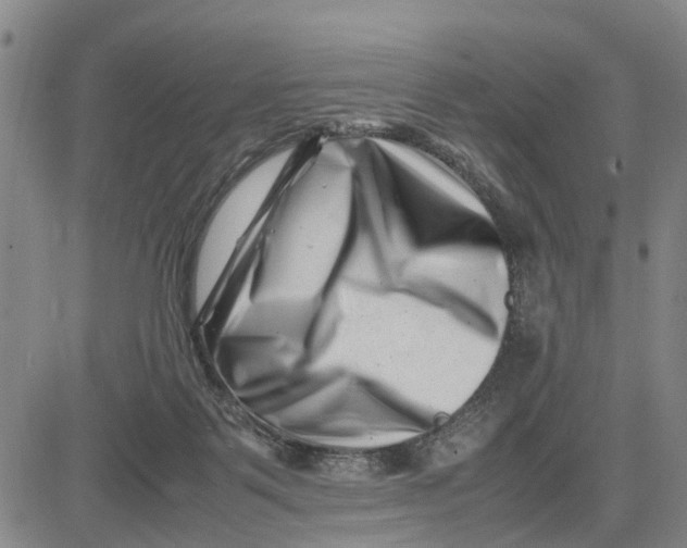 X0000081430123200702021702