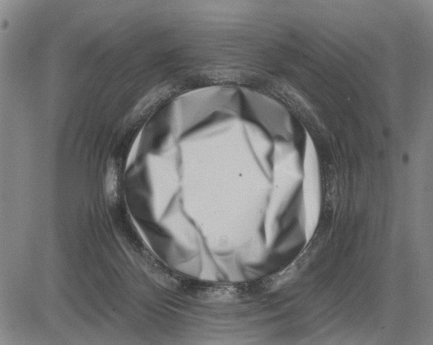 X0000081430124200702021702