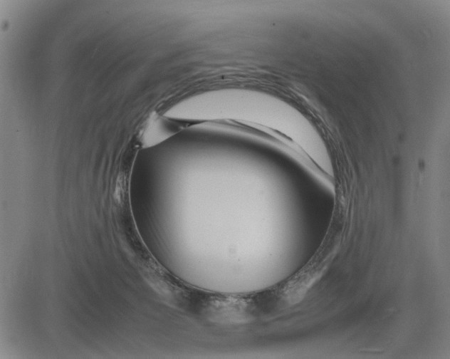 X0000081430125200702021702