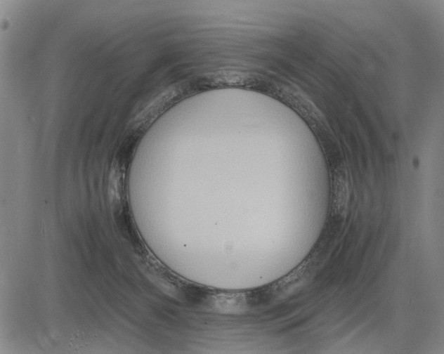 X0000081430126200702021702