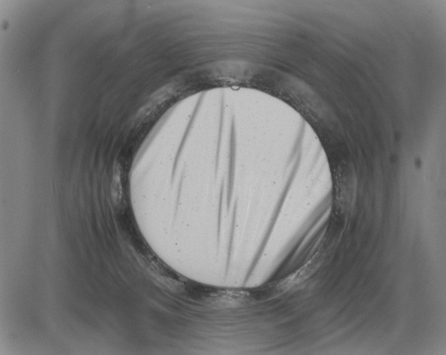 X0000081430128200702021702