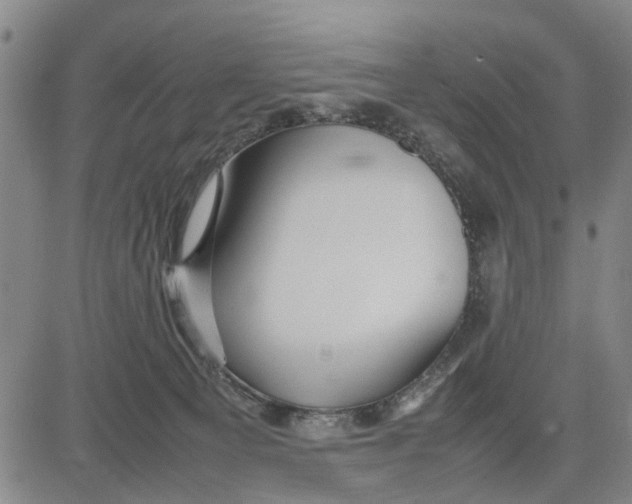 X0000081430129200702021702