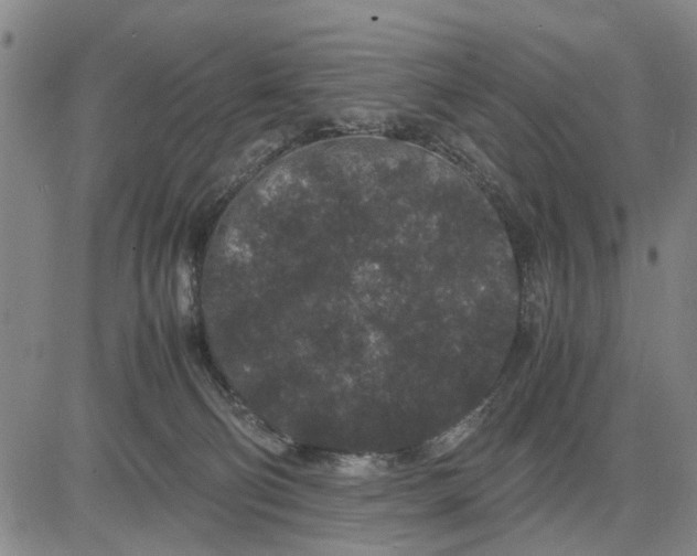 X0000081430130200702021702