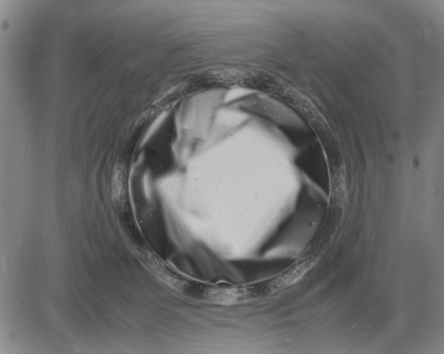 X0000081430131200702021702