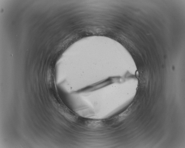 X0000081430132200702021702