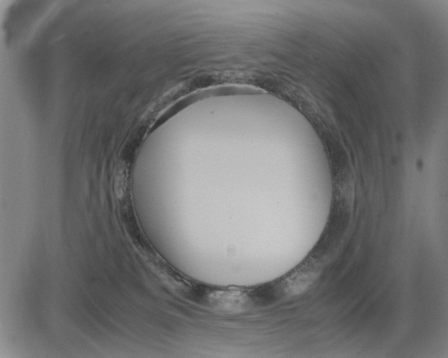 X0000081430133200702021702